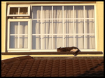 White uPVC Georgian Window
